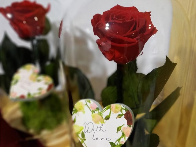 Cúpula con rosa eterna