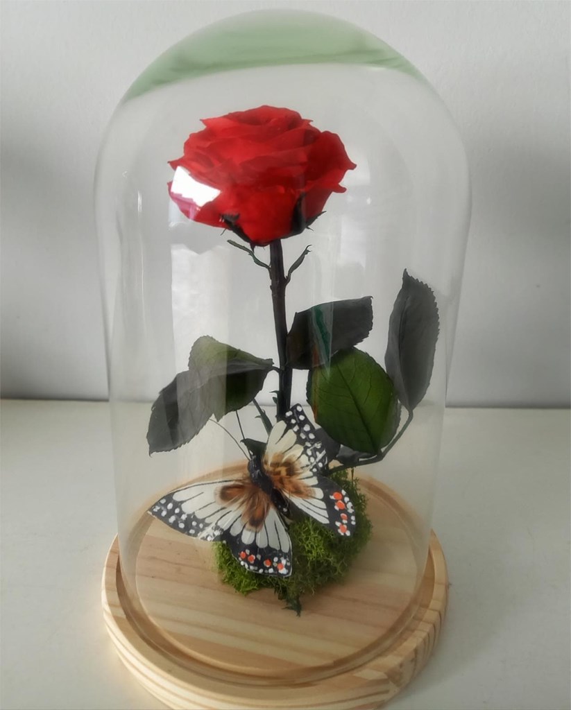 Foto 2 Cúpula con rosa eterna