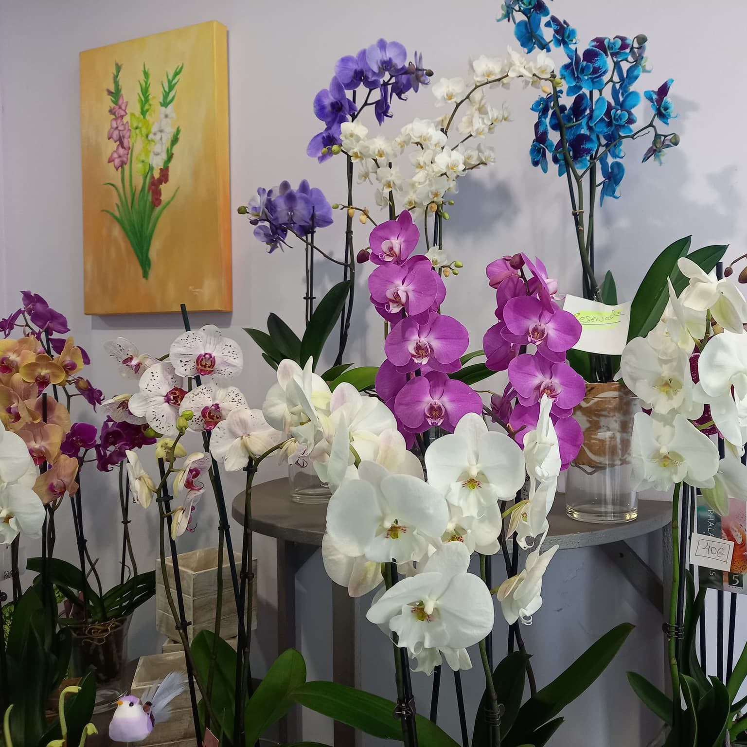 Arreglos florales en Pontevedra