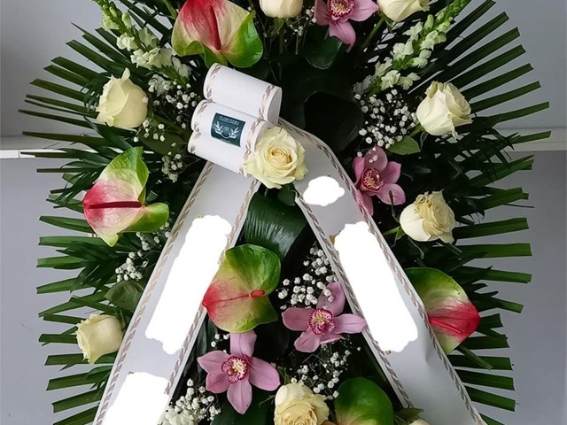 Palma mortuoria